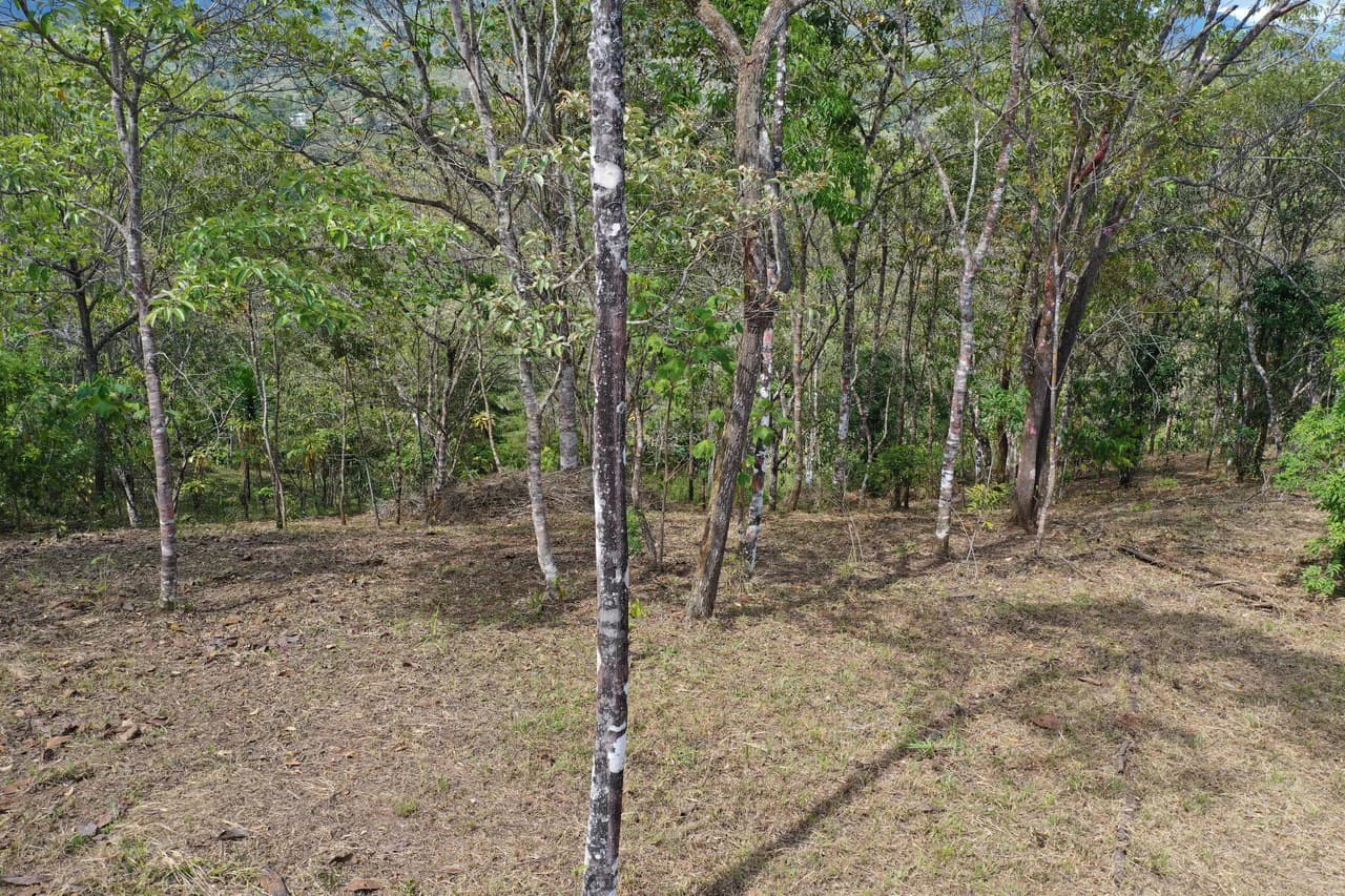 Elevated Two and a Half Acres with Cool Breeze in San Isidro del General - photo 8