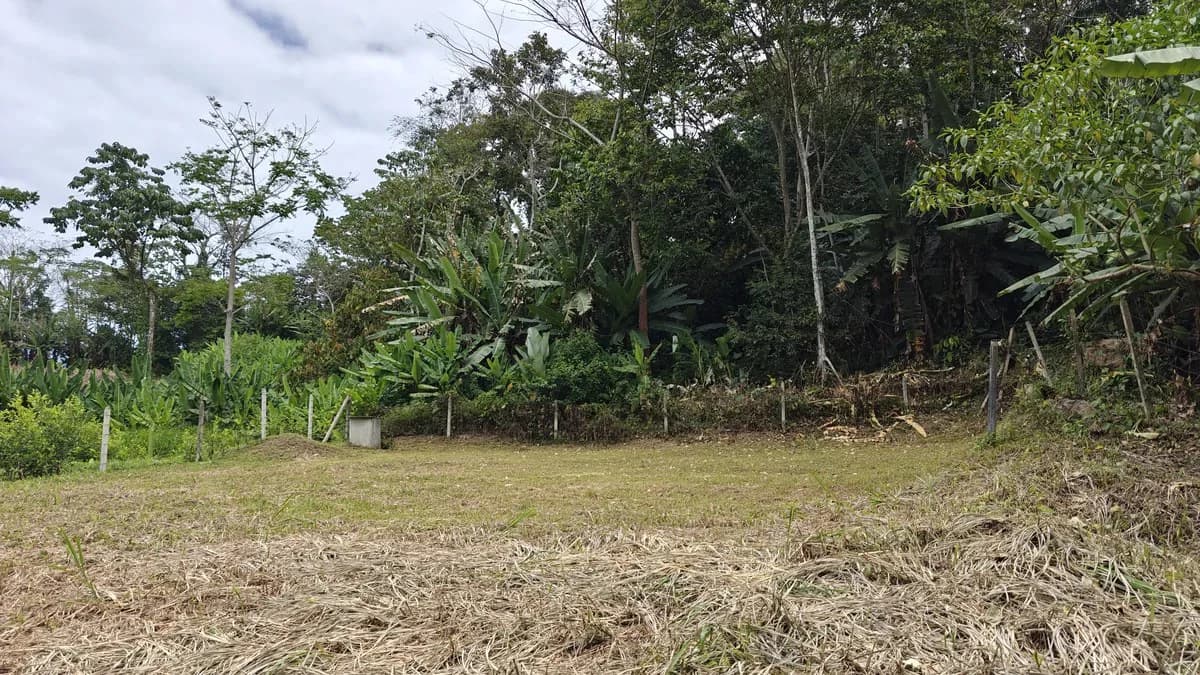 500sqm Lot in Cahuita with Well - Fenced, Filled, Leveled and Ready to Build - photo 2