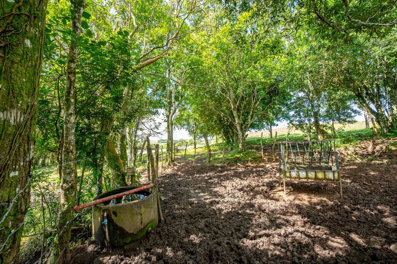 LA CABAÑA - 13+ ACRES & a TINY HOUSE & outstanding VIEWS - REDUCED PRICE - SELLER MOTIVATED - photo 38