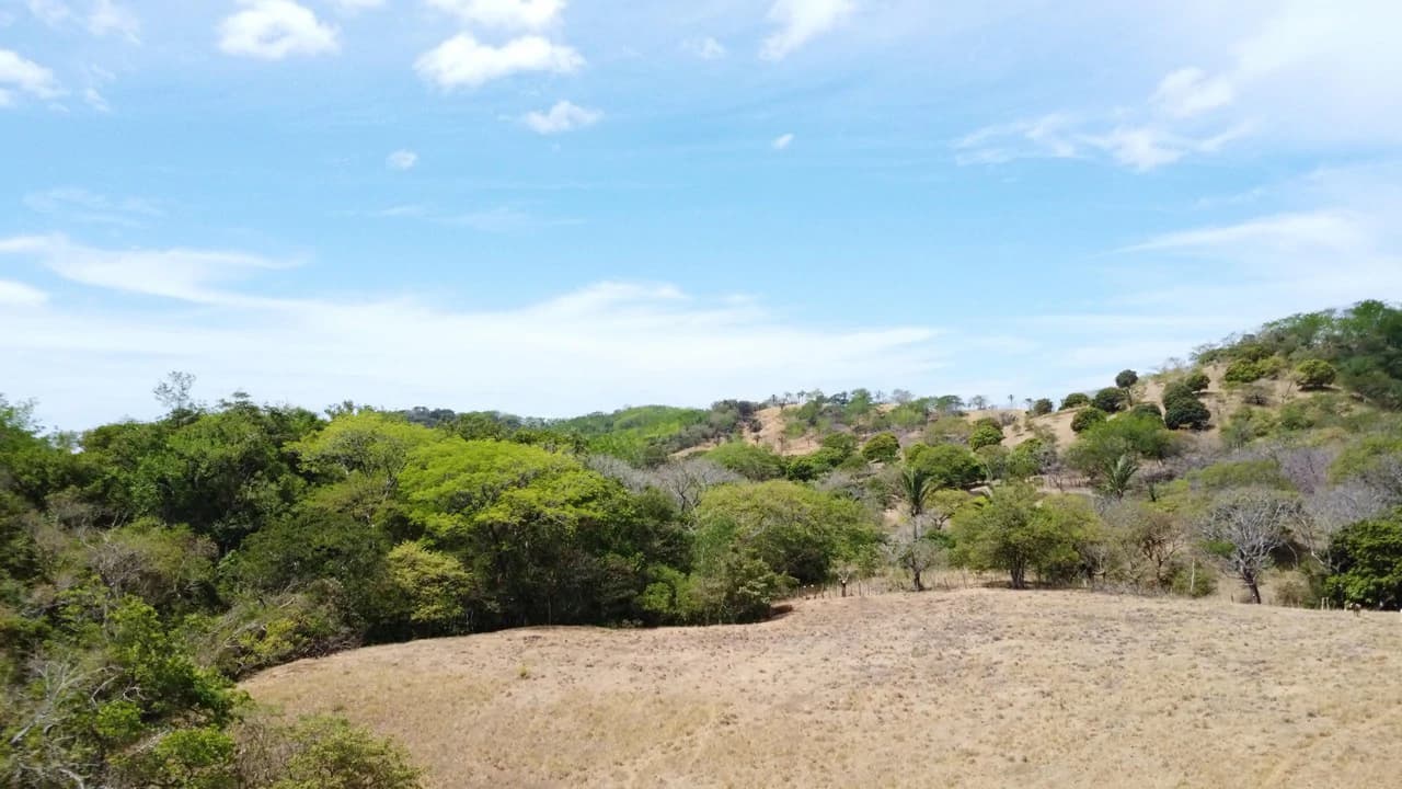 37-Hectare Ocean View Development Property Near Sámara, Buena Vista & Barrigona - photo 13