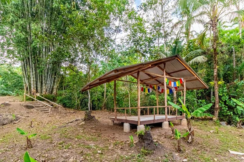 Casa San Pedrito: Beautiful house for sale in San Pedrito,(1,3hect) Perez Zeledon - photo 13