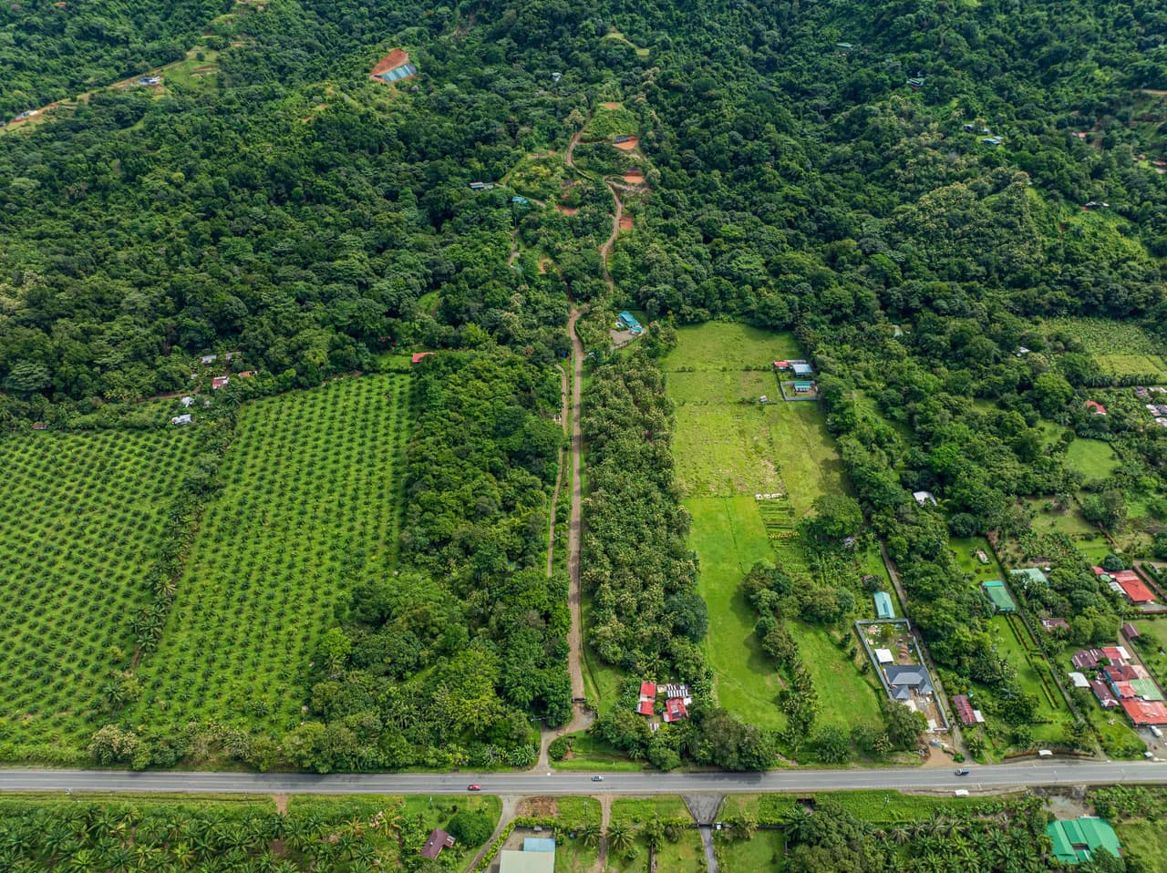 New Gated Development in Matapalo - Ocean View and Flat Land, ready to build! - photo 25
