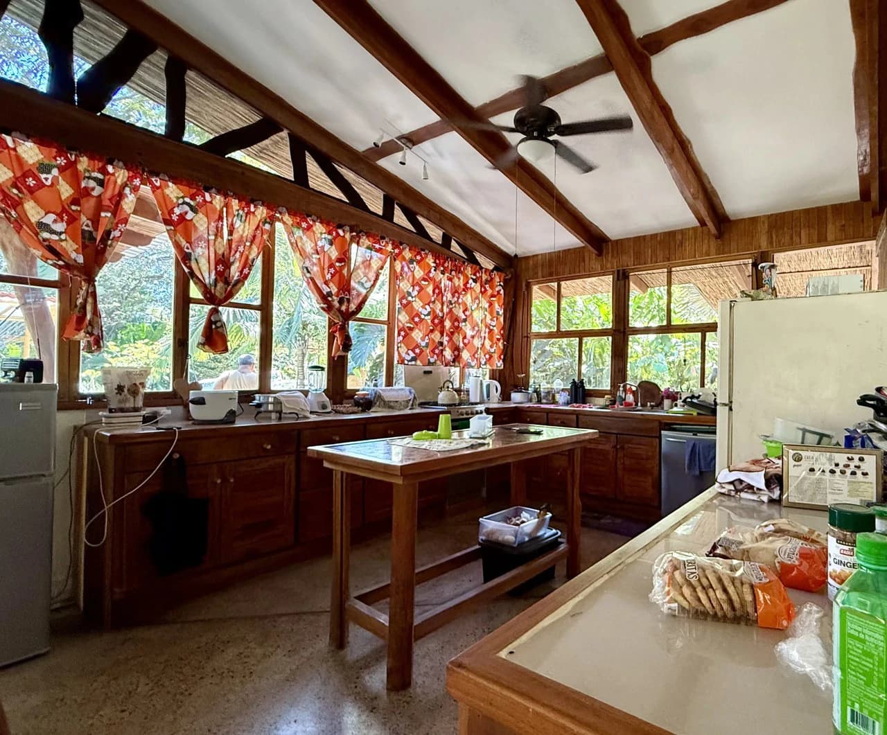 CASA CITALA: $399,000 USD Jungle Estate, Very Private, in Villas del Mar, Playa Tambor - photo 9