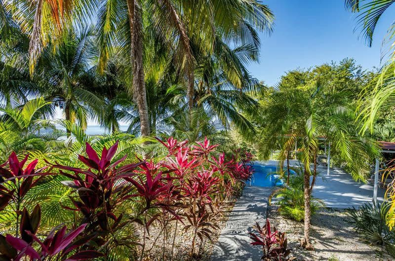 FINCA GABRIELA: Exceptional Opportunity- 9 Hectares (22.5 Acres) of Development Potential with Ocean View Home – Just 3 Minutes from Samara - photo 9