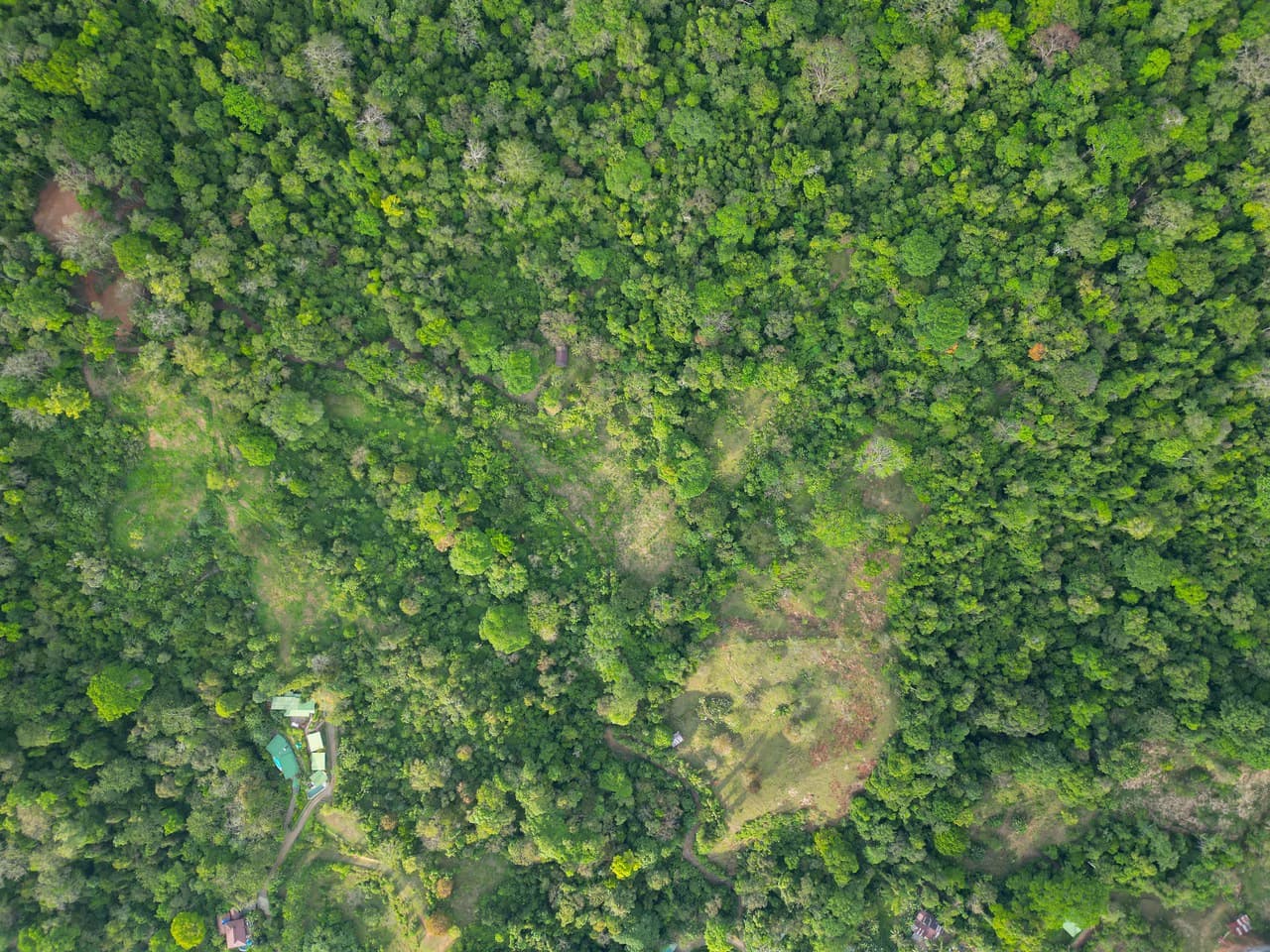 Build Your Vision in Uvita – 15.9 Ocean View Acres with Easy Access + Utilities Ready! - photo 6