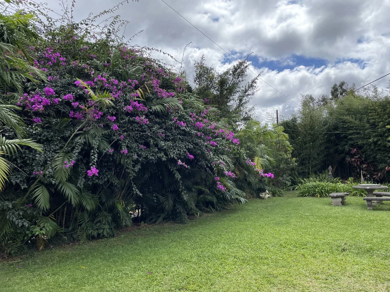 Location Location Location. Coronado, San José, Costa Rica