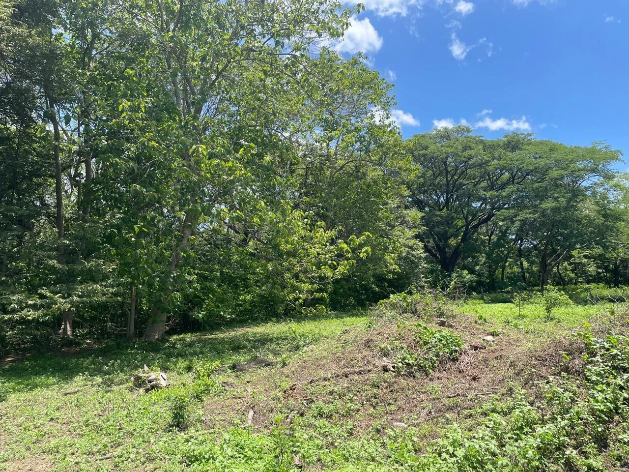 Building lots for sale, 6 available properties 10 minutes away from Liberia - photo 7