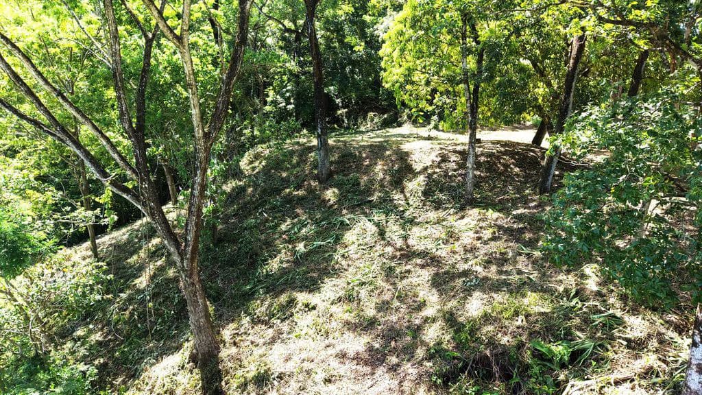 Lote Budry: Exclusive Elevated Lot with Stunning Mountain & Jungle Views Near Samara Beach - photo 10