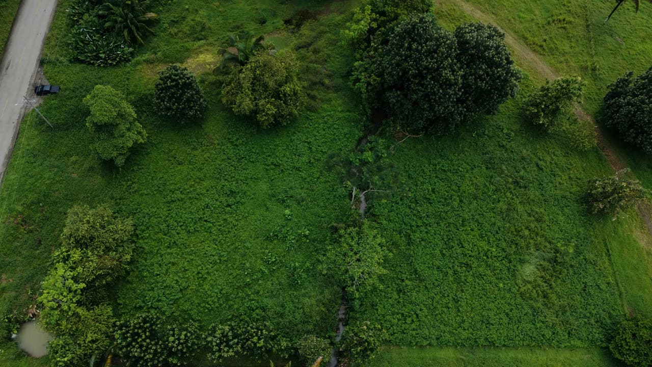 Strategic 5000sqm Commercial Property in Uvita: Perfect for any Business Vision - photo 2