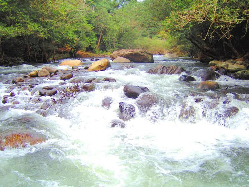 Colorado River Paradise Farm for Sale - Just 10 Minutes from Liberia - photo 15