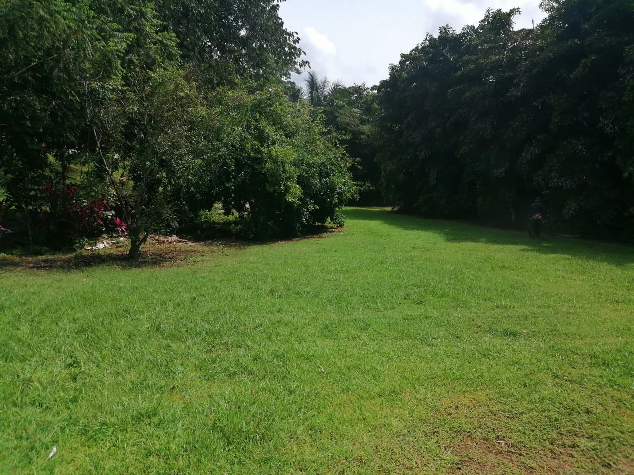 Amazing Home on Huge Lot Near the Beach - photo 39