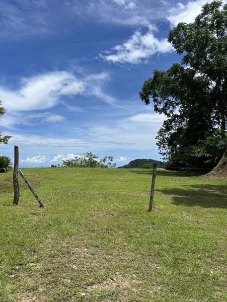 Panoramic 180 Degree Ocean View Lot Ready To Build Close To Ojochal - photo 13