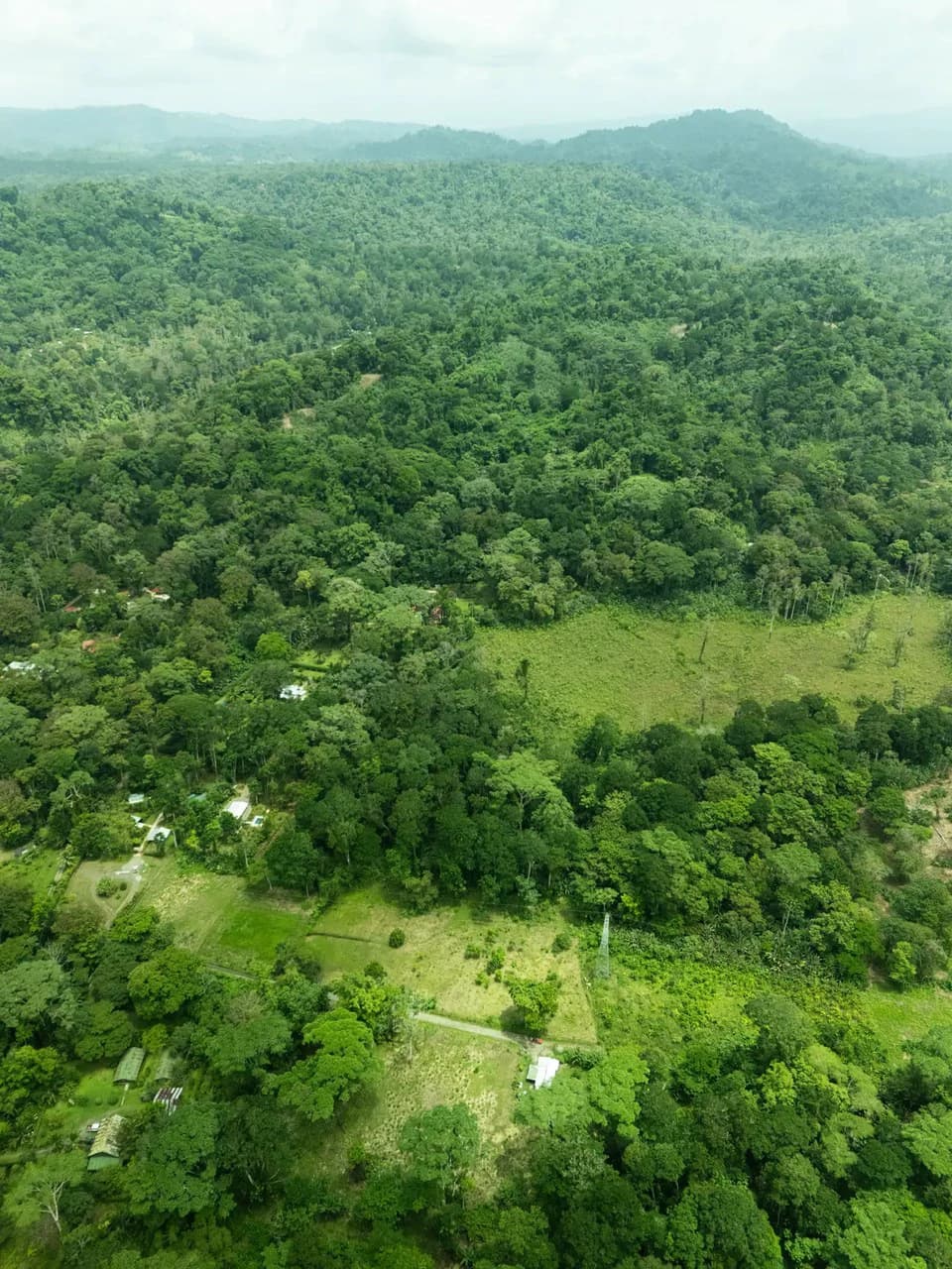 ID 1134: 3960m² Flat Development Lot Near Cahuita, Costa Rica - photo 12