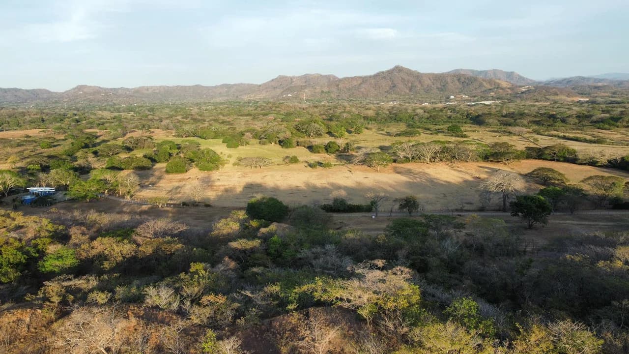 Lot #55 Rancho Las Colinas: 1,368 m² Ocean View Lot - photo 2
