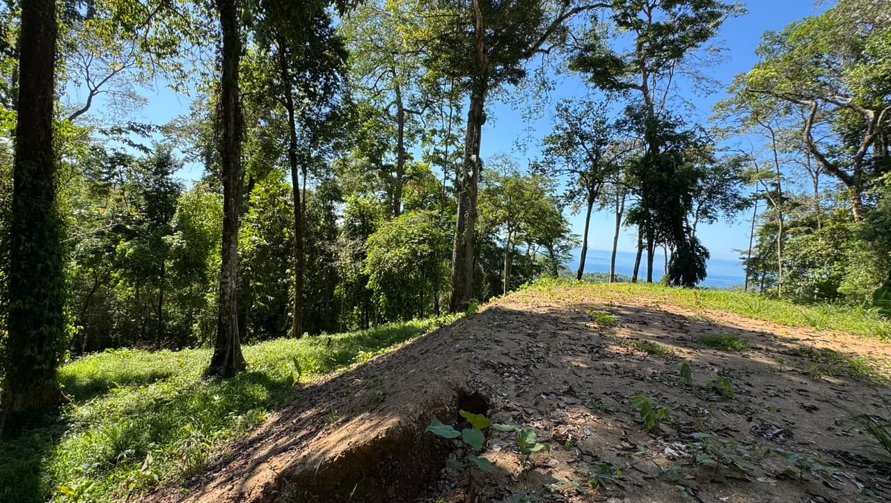 Two Ocean View Lots in Uvita – Easy Access and Large Building Sites - photo 10