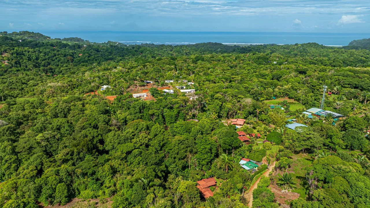 A Jungle House Built of Wood & River Dreams - photo 5