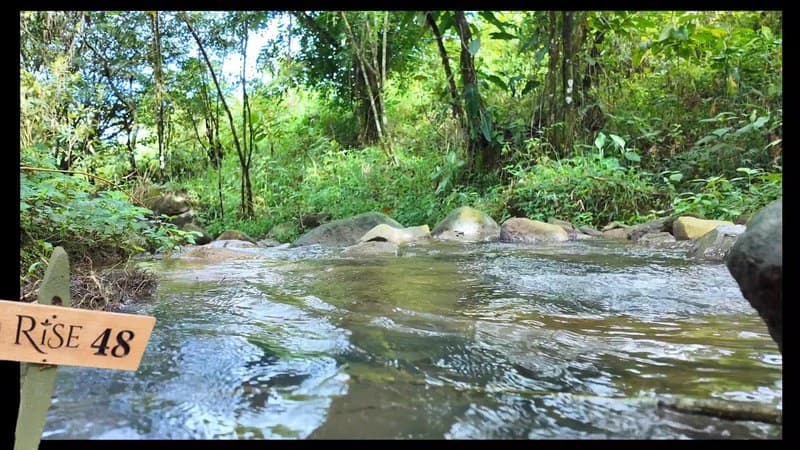 lote 48 RISE: BEAUTIFUL LOT FOR SALE IN THE HEART OF RISE COSTA RICA WITH CREEK (63,475 SQFT) - photo 10