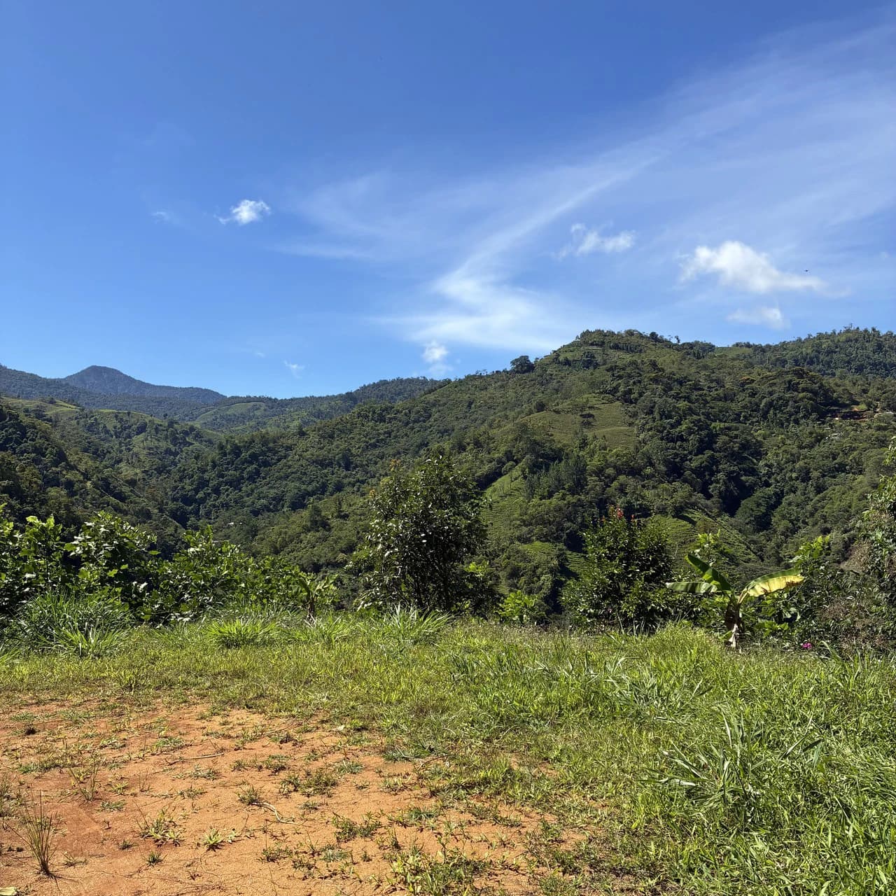 Breathtaking Mountain View Estate in Chimirol, Pérez Zeledón — 1.4 Hectares of Privacy, Nature & Potential: Mountain Home Construction Site For Sale in Chimirol - photo 7