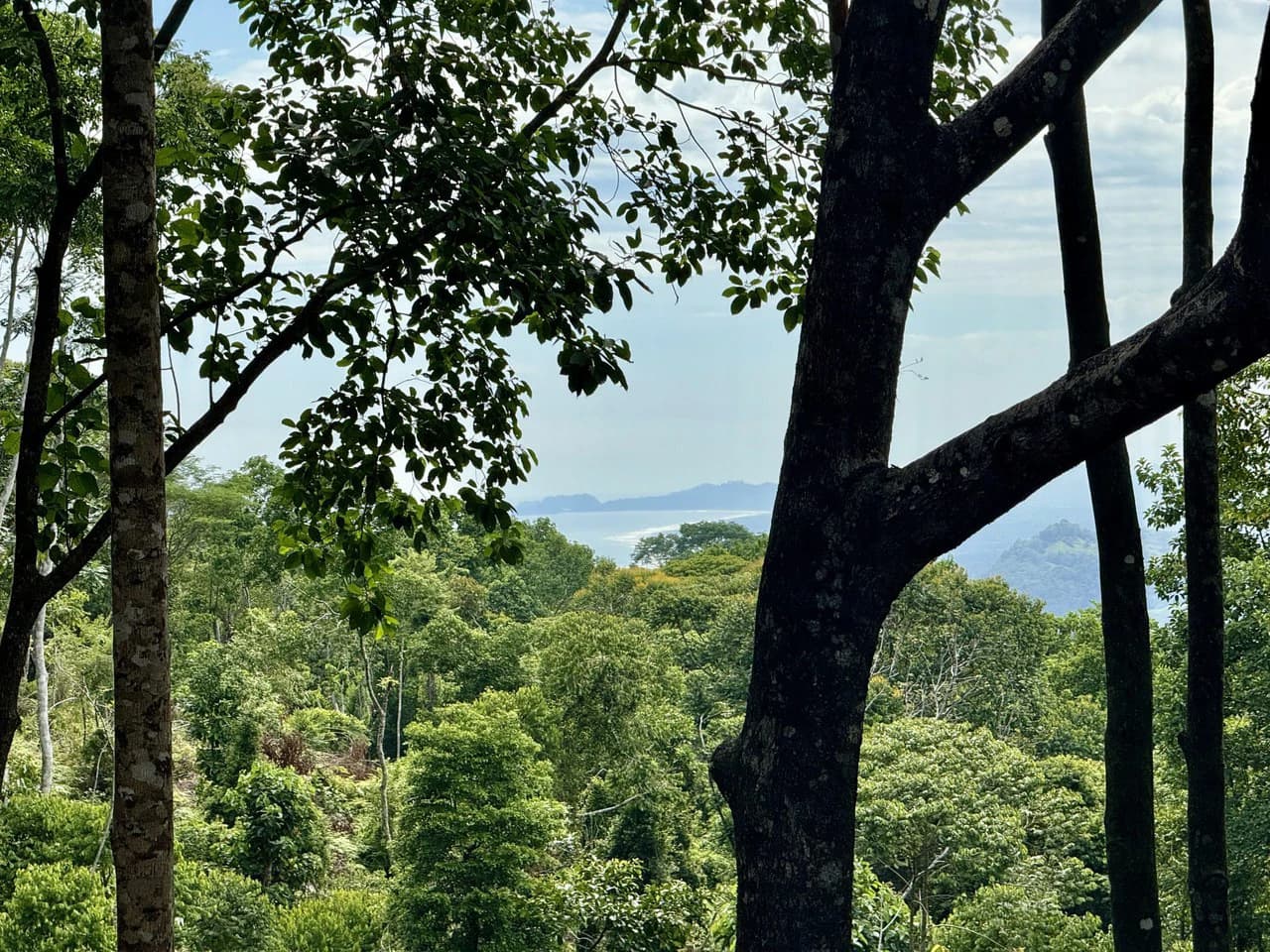 5.11 ACRES – Ocean And Mountain View Estate Property, Several Flat Buildable Areas, Legal ASADA Water!!!