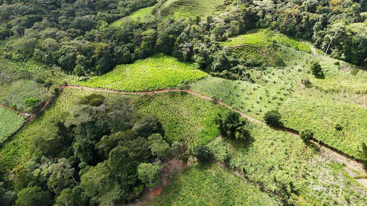 Mountain Agricultural Land For Sale in San Isidro del General - photo 11