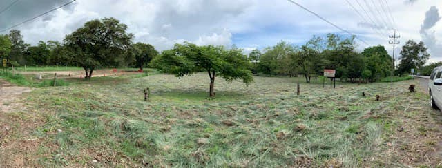 Sale commercial lot in front of the transito Liberia Guanacaste - photo 14