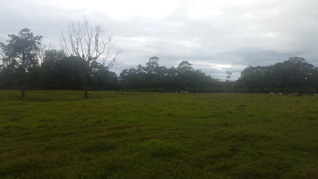 Countryside Development Parcel For Sale in Cariari - photo 9