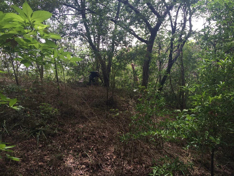 Finca grande: Economic Building property for sale in El Salto, with private access to the surrounding beautiful nature with own river - photo 11