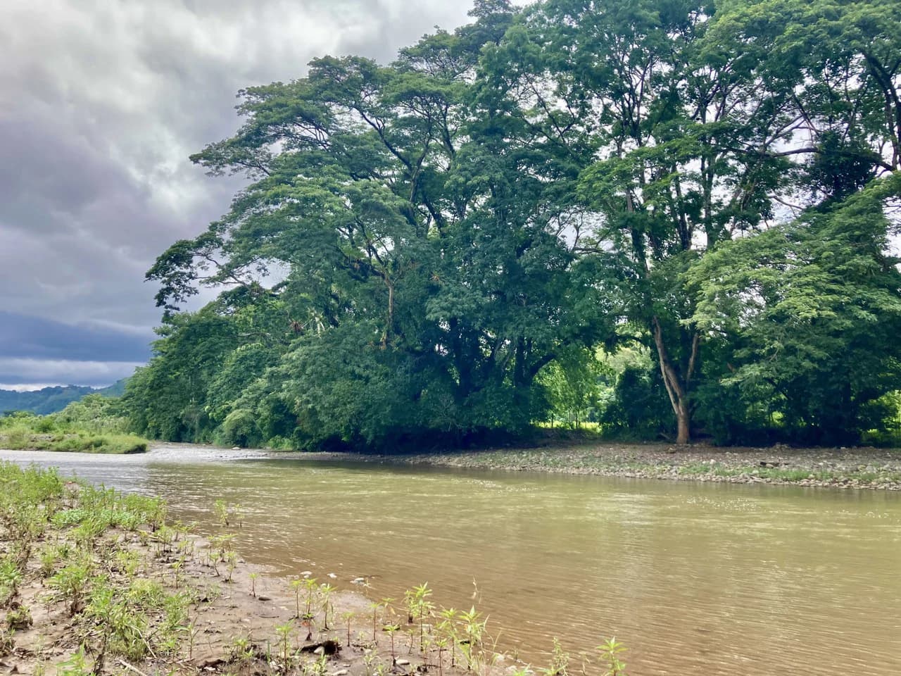 Frog Desing House: Property for Sale in Parrita, Costa Rica - photo 36