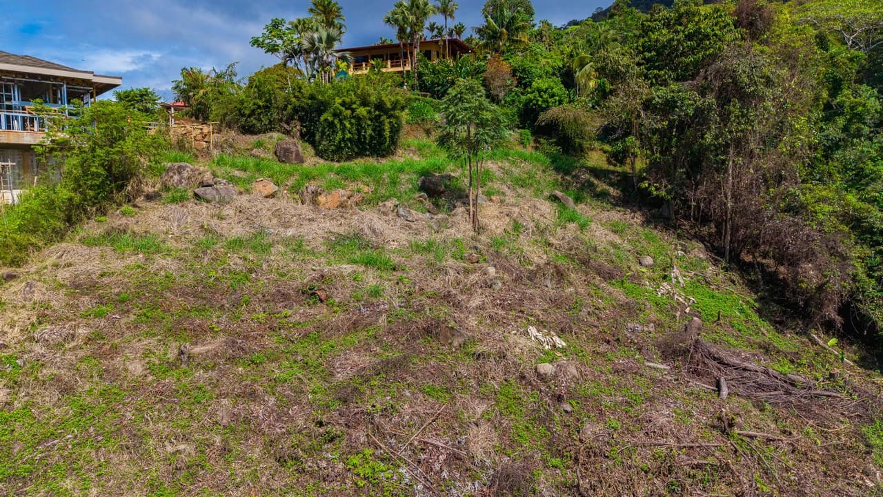 Luxury Ocean View Homesite in Escaleras Playa Dominical - photo 8
