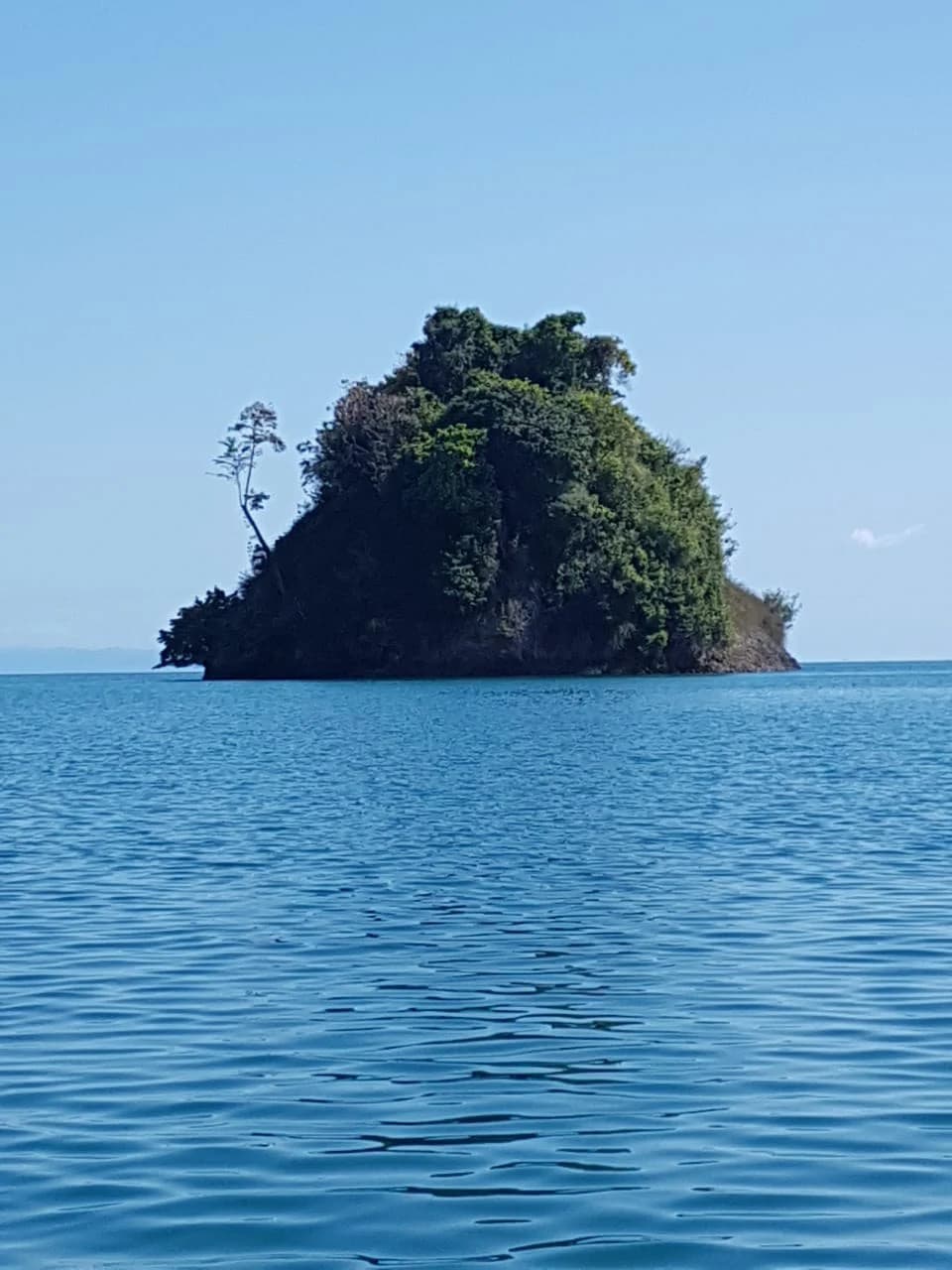 Nature Lover's Marina Resort Investment: Costa Rica South-Pacific Gulf Coast Marina, Rainforest Resort - photo 5