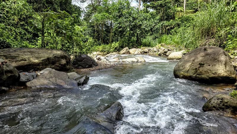 Waterfall Estate, Dos Bocas, Dominical Featuring Twin Waterfalls, Springs, Creeks & Rivers - photo 36
