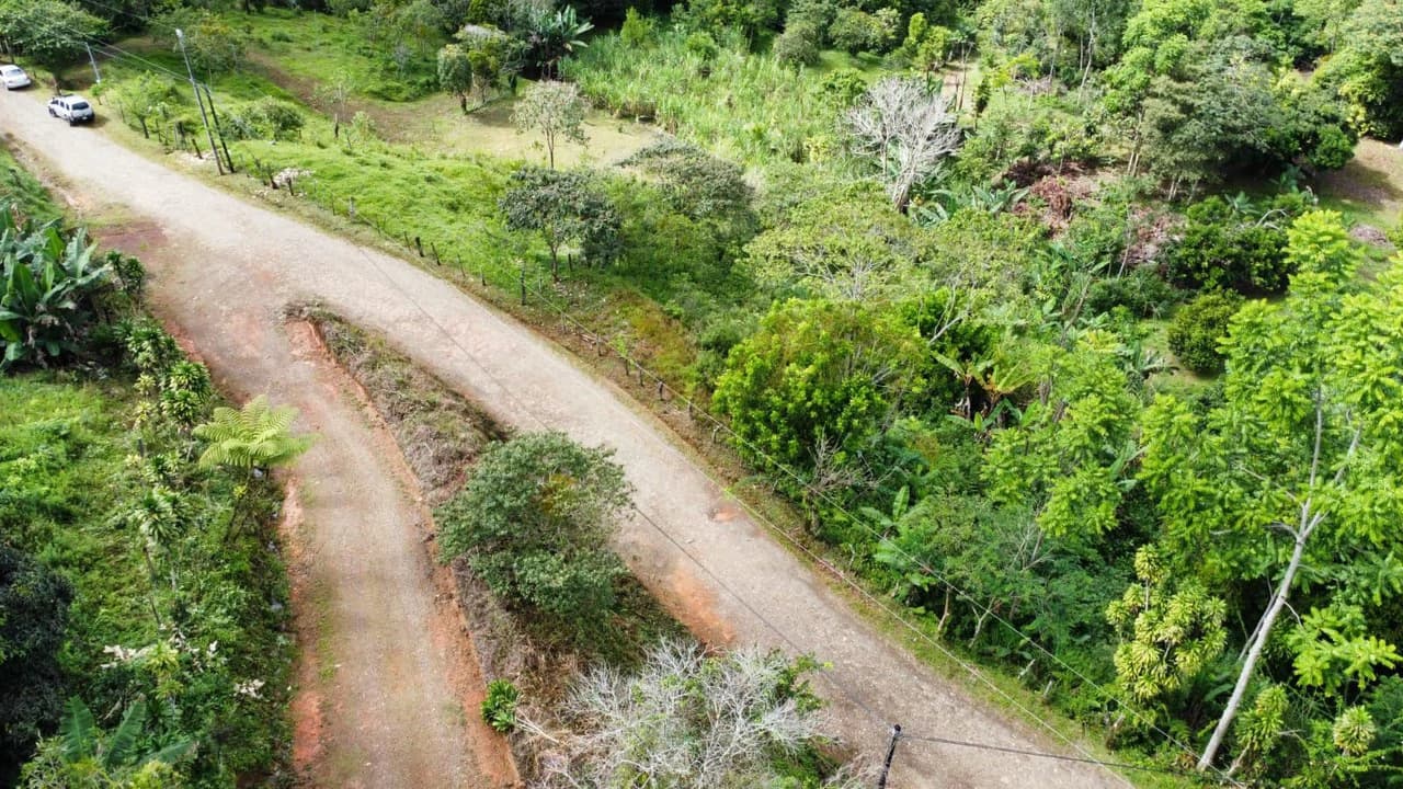 Propiedad en San Blas: Mountain Agricultural Land For Sale in La Linda General Viejo - photo 27