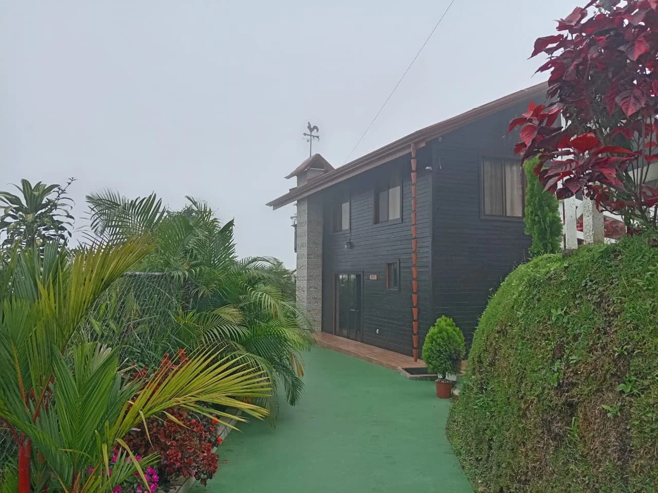 Two-Story Cozy Cabin in Agua Buena, San Vito - photo 8