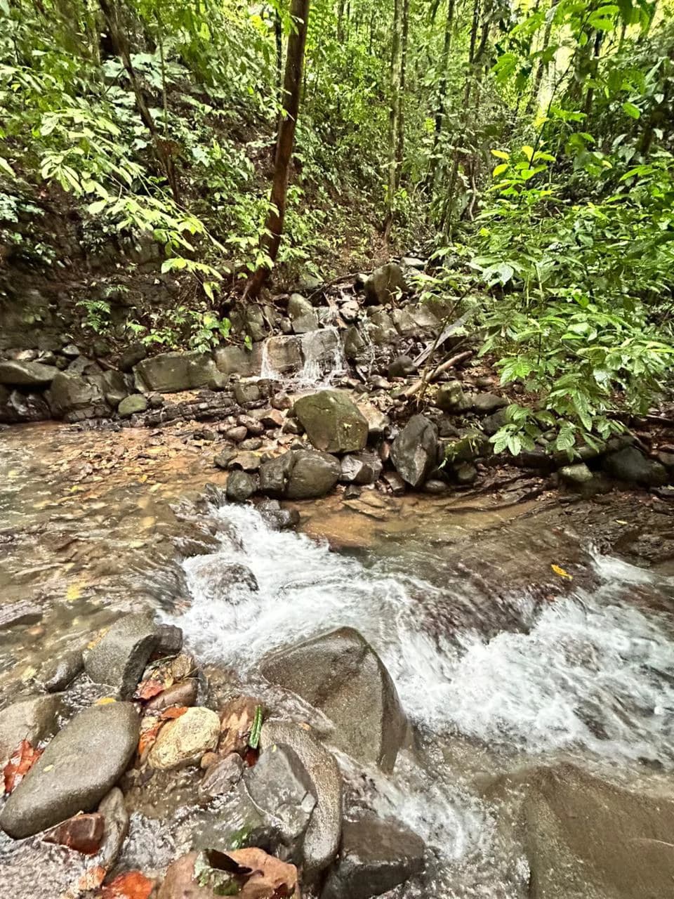 Finca Las Cataratas in Ballena: Mountain Home Construction Site For Sale in Bahía Ballena - photo 26