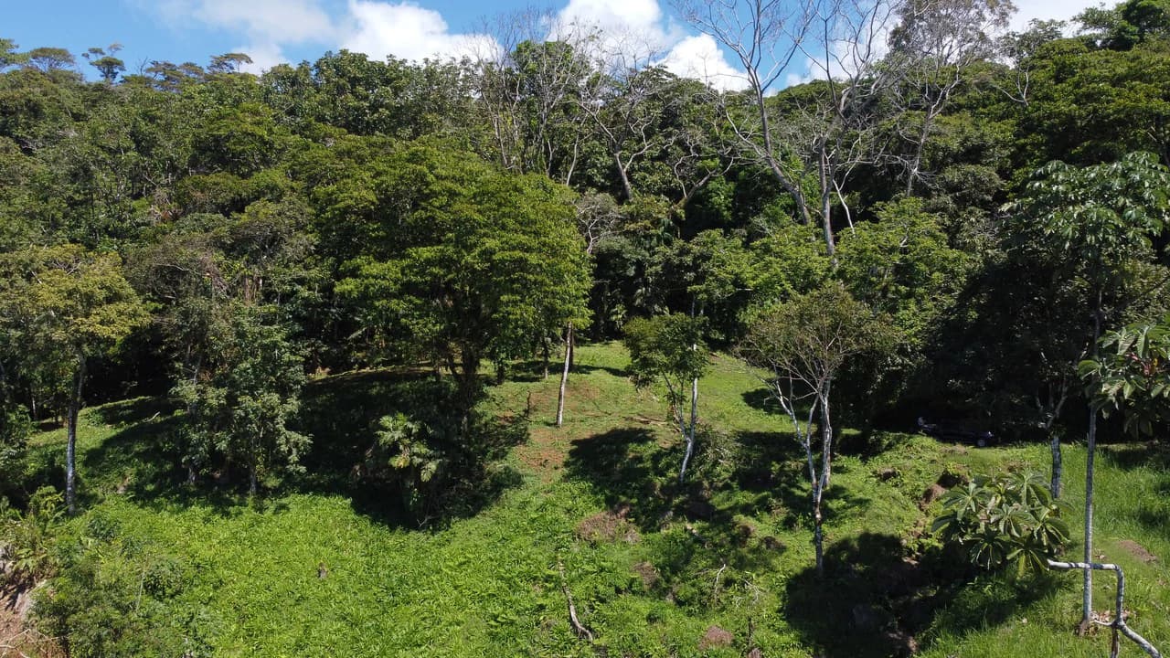 Exclusive 5.80 acres Ocean View Estate Lot in Costa Verde Estates – Escaleras - photo 6