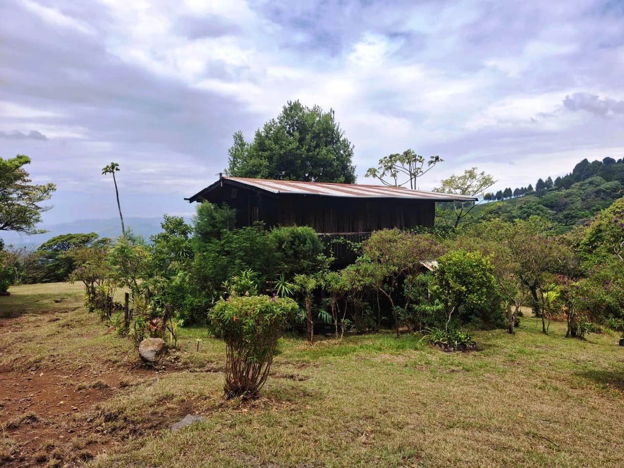 Mountaintop Canvas!: 31,000m2 - Entrepreneur's Dream Property! - photo 6
