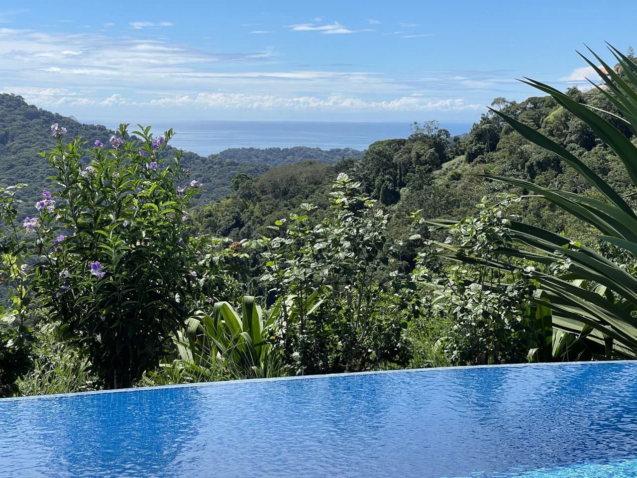 5.2 ACRES – 2 Bedroom Home With 60 Ft Infinity Lap Pool, 1 Bedroom Guest House, Fabulous Ocean View, Mature Fruit Trees!!!