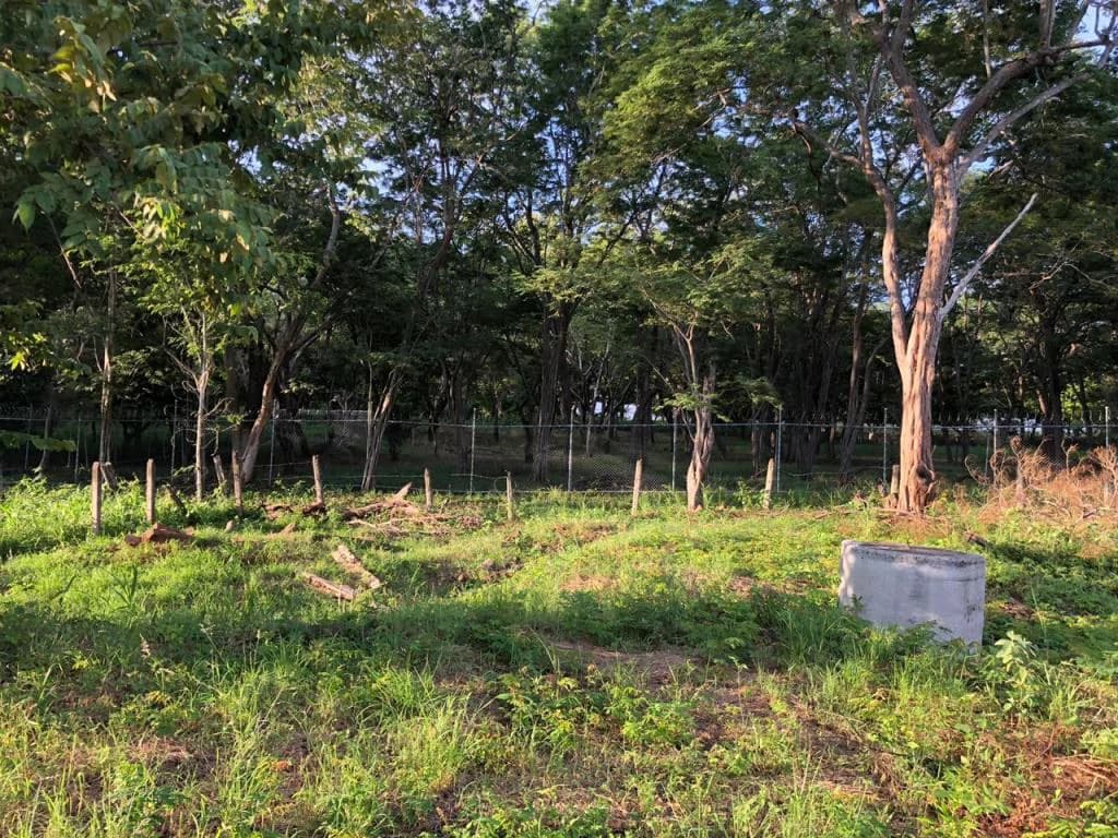 Large Commercial Property in Playa Hermosa, Guanacaste, Costa Rica - photo 7