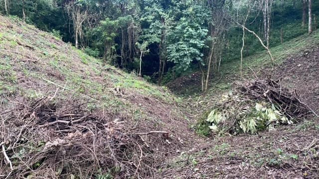 Beautiful Property for Sale in the Mountains of San Juanillo – Prime Land with Building Potential Just 10 Minutes from the Ocean - photo 18