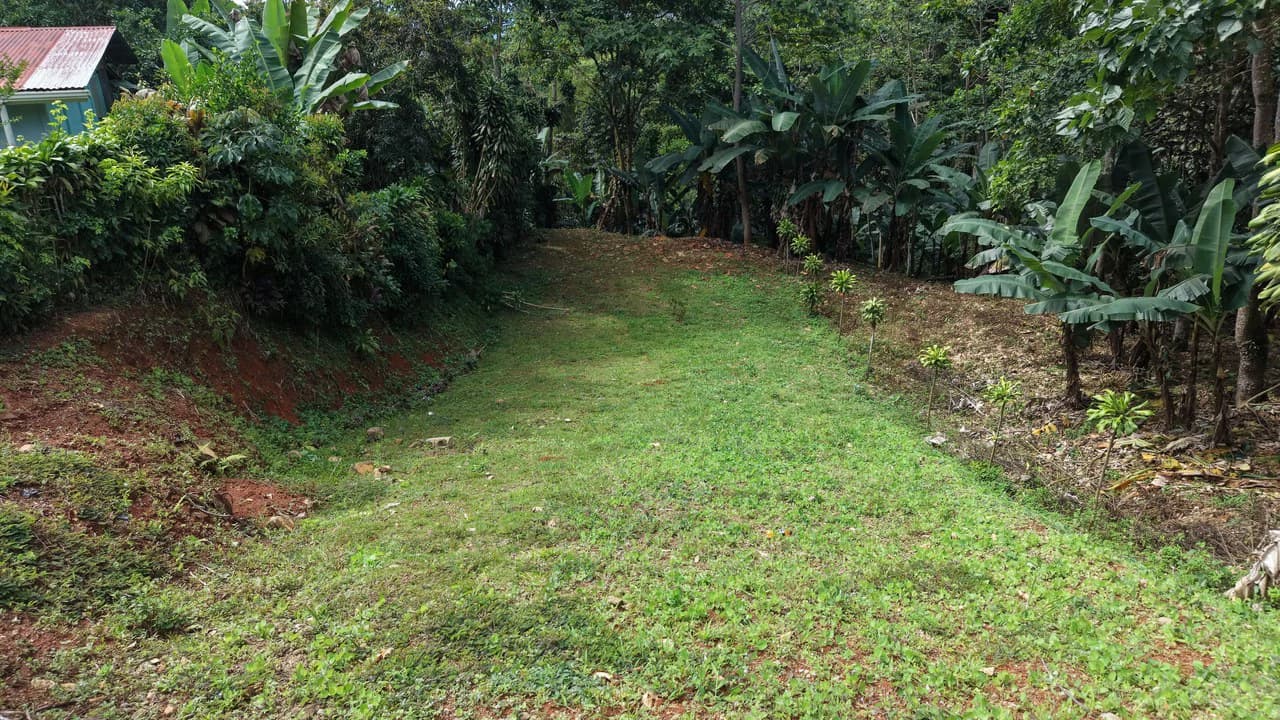 Mountain Home Construction Site For Sale in San Rafael Norte - photo 4