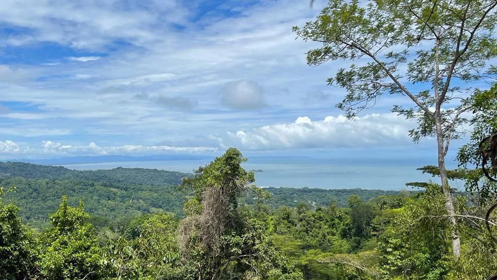 Eduardo Lee 17 Acres: Mountain Agricultural Land For Sale in Bejuco - photo 5