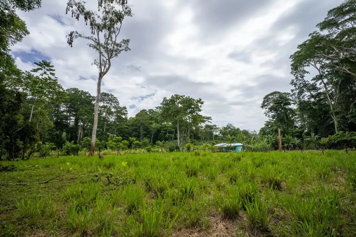 ID 1134: 3960m² Flat Development Lot Near Cahuita, Costa Rica - photo 16