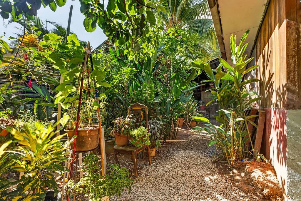 Casa Salinas: Tropical Compound with Multiple Income Opportunities in Playa Grande - photo 18