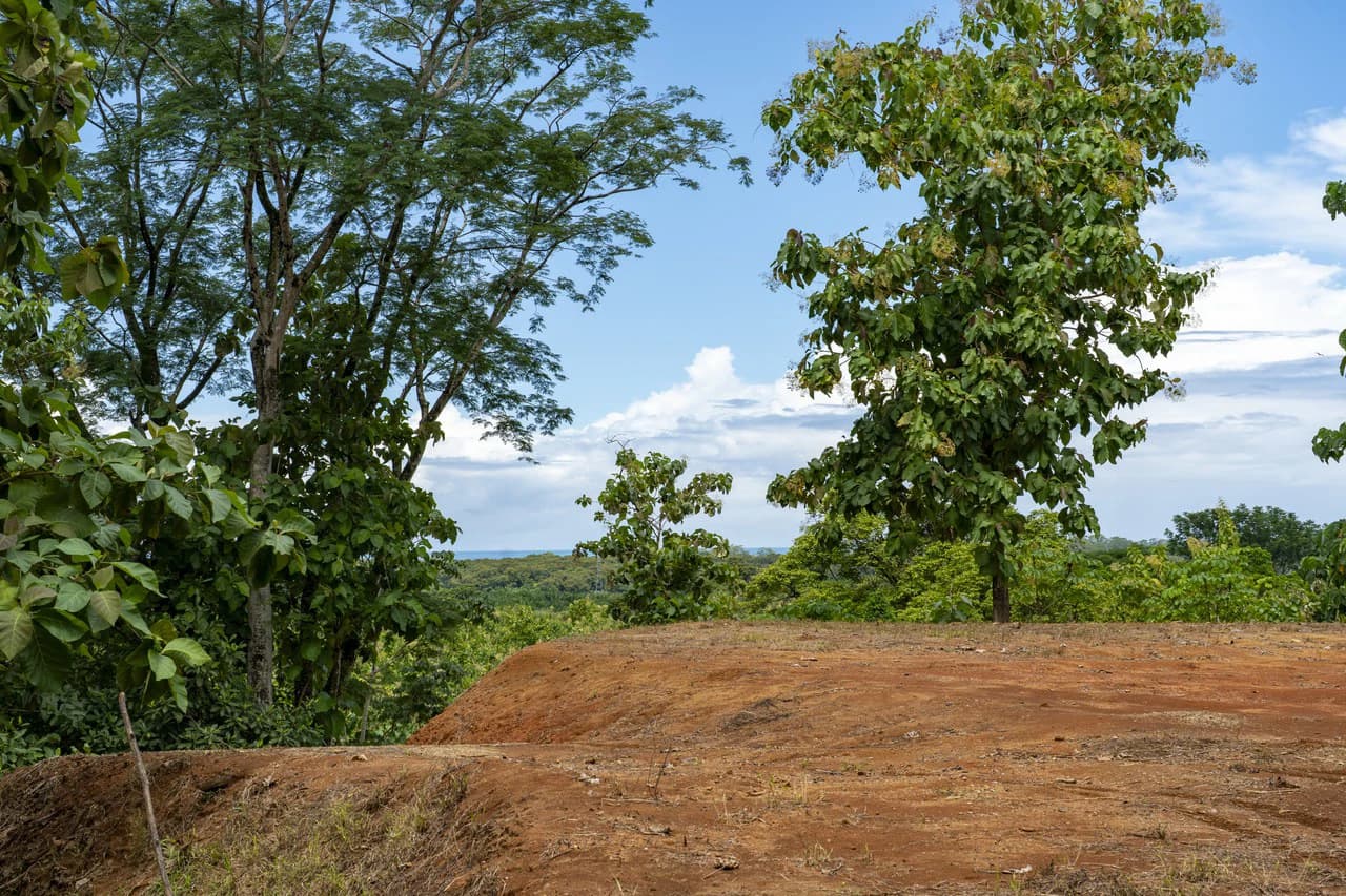 New Gated Development in Matapalo - Ocean View and Flat Land, ready to build! - photo 19