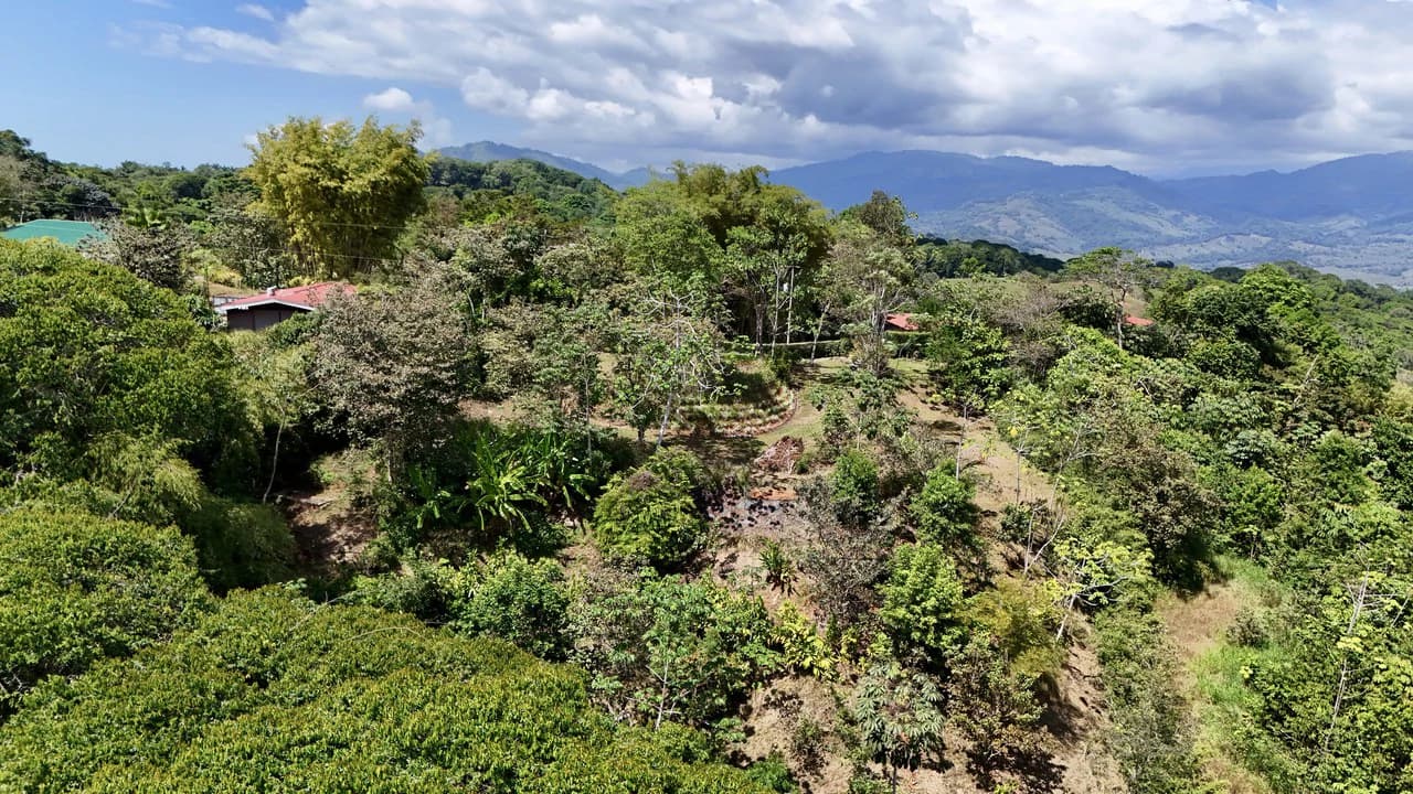 New 1,4 Acre lot in Platanillo – With Legal Water - photo 13