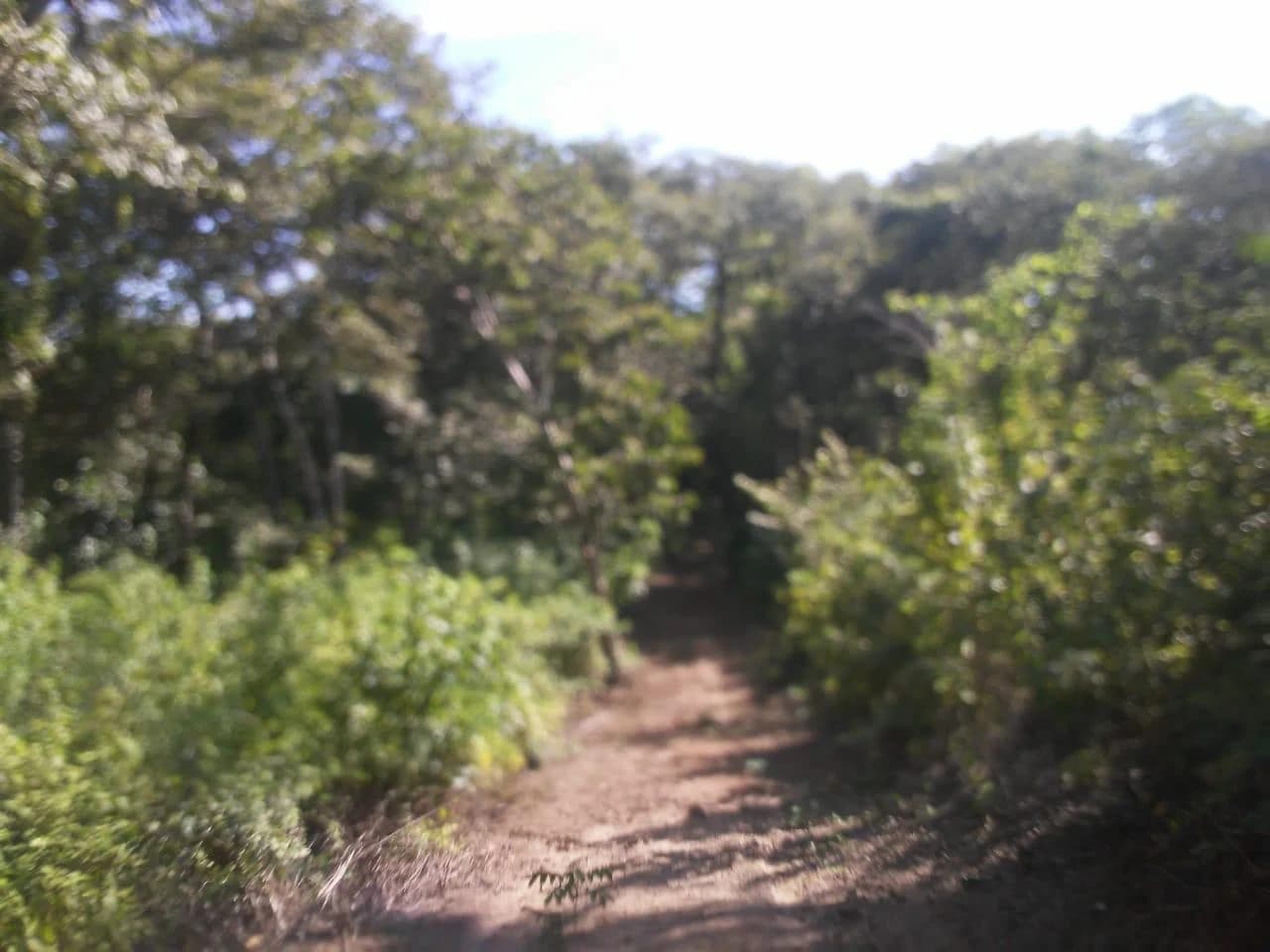 Large commercial property for sale in the Papagayo area, close to the Marina Papagayo or Four Season luxury hotel - photo 6