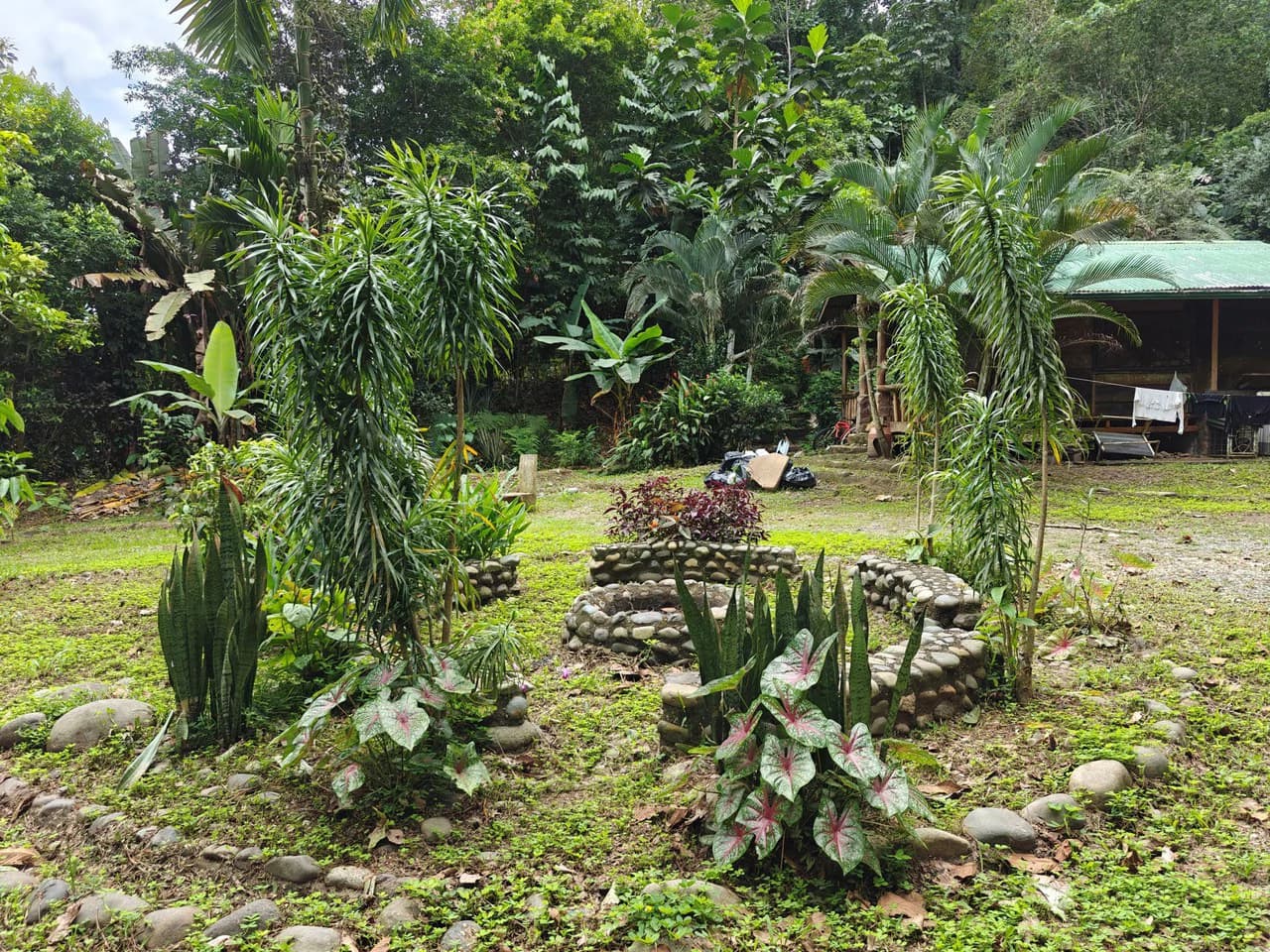 Mountain-Edge Sanctuary with Private Waterfall: 3 Titled Jungle Lots with Platforms, Waterfall, and Income Potential - photo 8