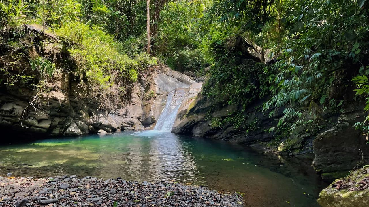 FINCA CERRO DEL TIGRE! OVER 20 ACRES OF PRIMARY FOREST AND WATERFALLS.: Mountain Agricultural Land For Sale in La Unión - photo 10