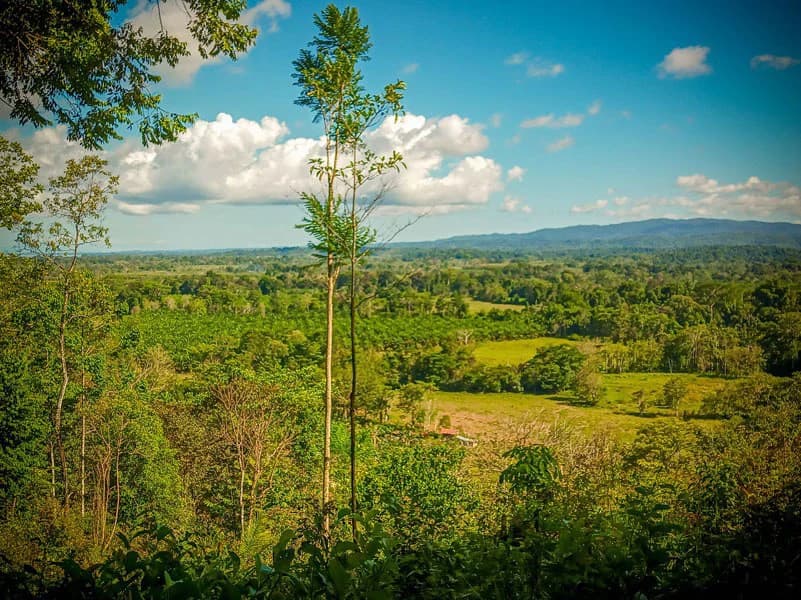 Ocean View & Primary forest 55-ha Rincon de Osa - photo 17