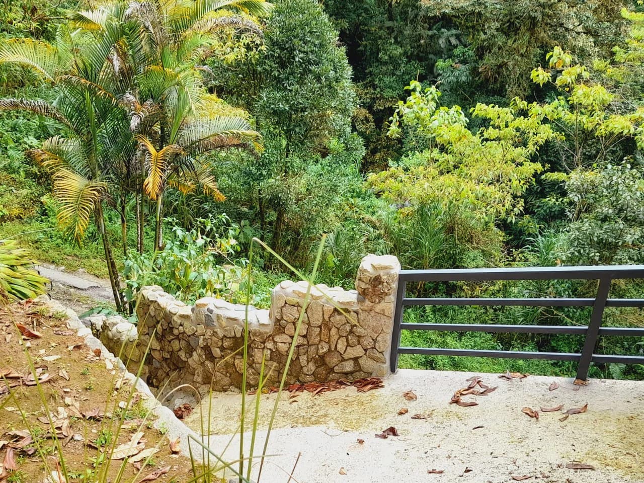 Mountain Retreat with River Views in San Gerardo de Rivas - photo 26